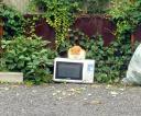 電子レンジ猫